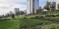 Пермский край в предстоящие выходные дни накроют дожди - Комсомольская Правда
