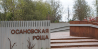 background - Вологда-поиск