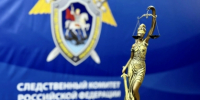 Житель поселка Черемисиново признан виновным в применении насилия в отношении представителя власти - Следственный комитет