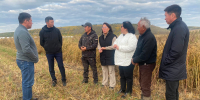 Амгинский улус нацелен выполнить планы по урожаю и кормам - Министерство сельского хозяйства