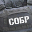 При содействии спецназа Росгвардии задержаны подозреваемые в мошенничестве с предоставлением кредитов под залог недвижимости в Новой Москве (видео) - Росгвардия