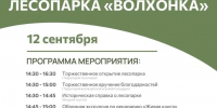 Три новых лесопарка откроют в Подмосковье - Туристический портал