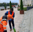 За неделю из парков и скверов Курска вывезли более 70 тонн мусора - Городские Известия