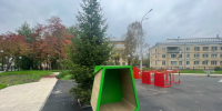 Городской парк культуры и отдыха меняется к лучшему. - Город Новодвинск