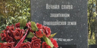 В Кировском районе высадили аллею сосен у мемориала воинам 128-й стрелковой дивизии - Комитет общественных коммуникаций