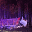 Число погибших в ДТП под Архангельском увеличилось до 13 - M24.Ru