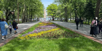 Куда сходить в Новороссийске 12 и 13 сентября: полная программа Дня города - GazetaNovoros.Ru