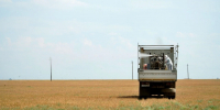 Борьба с саранчой в Дагестане в 2026 году прошла без объявления режима ЧС - РИА Дагестан