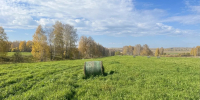 В воскресенье в Кузбассе уже пасмурно, но по-прежнему жарко - Prokopievsk.ru