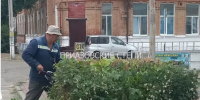 Коммунальщикам Ейска всегда хватает работы - Приазовские степи