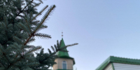 Фото Д.Галиева - Агрызские вести