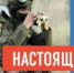Встаньте на защиту Родины: служба по контракту в Вооружённых Силах России - Шолоховский район