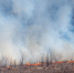 Вертолет совершил около 20 сбросов воды на тлеющие очаги в заповеднике «Утриш» в Анапе - LiveKuban.Ru