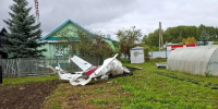 Самолет упал в огород частного жилого дома в Татарстане, два человека погибли - Газета Бийский рабочий