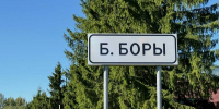 Деревни Большие Боры и Ивановское попали в адресный план проекта «Устранение цифрового неравенства» по итогам голосования на портале госуслуг в 2025 году. - Новгородские Ведомости