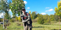 В Молодежном парке в Чистых Прудах высаживают яблони в два человеческих роста - Kirov.Online