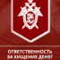 Следственное управление разъясняет об уголовной ответственности за хищение денежных средств с банковских карт - Следственный комитет