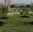 Фото пресс-службы мэрии Иркутска - Irk.Ru