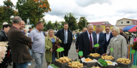 Во Владимирской области отпраздновали День картофеля - PRO Город Владимир