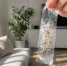 Секретный компонент из СССР: как сделать идеальные маринованные помидоры - никогда не взрываются - SevastopolMedia