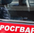 В Саранске росгвардейцы скрутили главного героя торжества прямо на банкете - Pg13.Ru