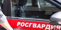 В Саранске росгвардейцы скрутили главного героя торжества прямо на банкете - Pg13.Ru