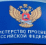 Минпросвещения России дало рекомендации по использованию ИИ в школах - Кингисепп-сегодня.рф