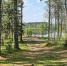 Фото: ПАИ - InformPskov.Ru