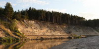 лес - Novosti-Saratova.Ru