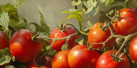 tomatoes-growing-garden - ТРК Щелково