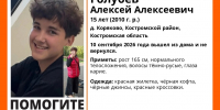 В Костромском районе пропал подросток - Интернет-телевидение Логос
