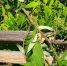 9jjshm3bd4rxftwnapxqm7jr00vke73z - Novosti-Saratova.Ru