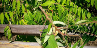 9jjshm3bd4rxftwnapxqm7jr00vke73z - Novosti-Saratova.Ru