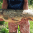 fgk9r4xriyvgqh4tr5jvpn7023o7hme9 - Novosti-Saratova.Ru