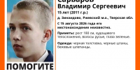 Глава «ЛизаАлерт» назвал поиски 15-летнего Вовы из Ржева самыми сложными за лето - Афанасий-биржа