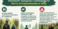 В Башкирии медведь едва не напал на трёх женщин - Сетевое издание Республика Башкортостан