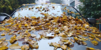 Завтра в Курской области дожди и до 20 градусов тепла - Курские Известия
