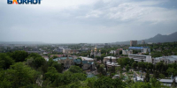 В воскресенье таврополь накроет летний зной вместе с коварной пыльцой - Bloknot-Stavropol.Ru