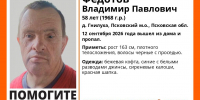 Мужчина в красной шапке пропал в псковской деревне Гнилуха - Pln-Pskov.Ru