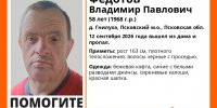 Изображение предоставлено поисково-спасательным отрядом «ЛизаАлерт» Псковской области - InformPskov.Ru