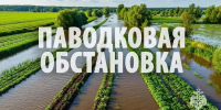 Уровень Амура у Хабаровска снизился до 452 сантиметров - КП Хабаровск