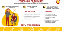Жителям Хакасии рассказали о мерах профилактики педикулеза - ИА Хакасия