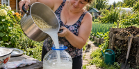 Воду после варки макарон сливаю в 5-литровые пластиковые бутылки — отвезу на дачу: накормлю растения и компост - Pg11.Ru