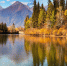 Фото: Katvic/Shutterstock/Fotodom - Ямал-Медиа