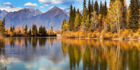 Фото: Katvic/Shutterstock/Fotodom - Ямал-Медиа