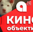 На большом экране в воскресенье - Амурское областное телевидение