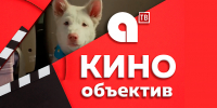 На большом экране в воскресенье - Амурское областное телевидение