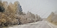Медведь на трассе в Алтайском крае на границе с Кемеровской областью / Фото: "Инцидент Барнаул" - ИА Амител