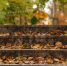 Антициклон принес в Краснодарский край тепло выше нормы - KrasnodarMedia