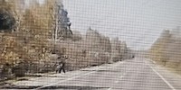 Фото: Инцидент Барнаул - Алтайская правда